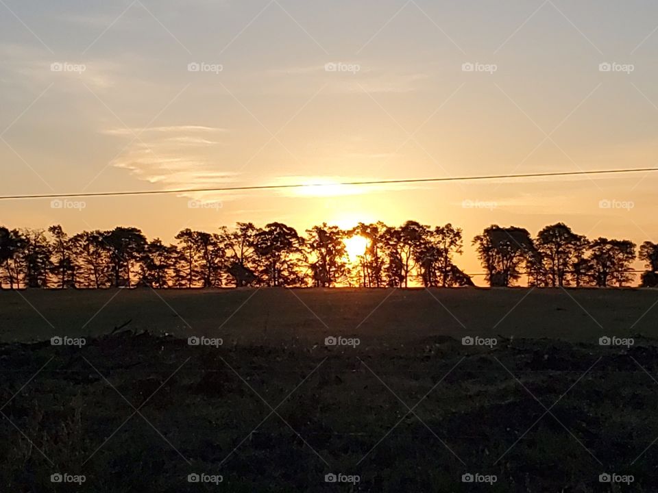 sunset in the treeline