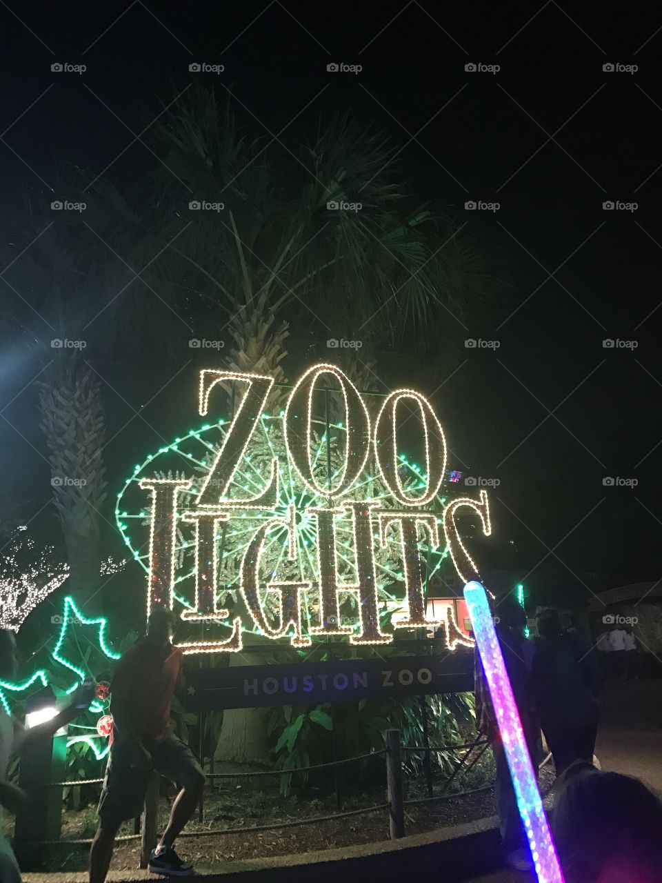 Zoo lights 