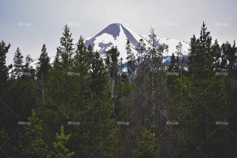 Yellowstone National Park