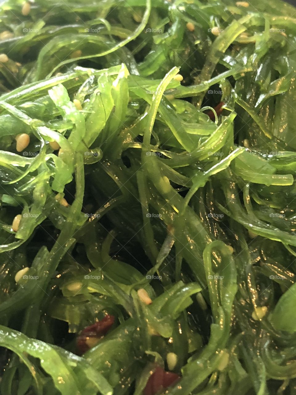 Seaweed Salad up close  bright green colors 