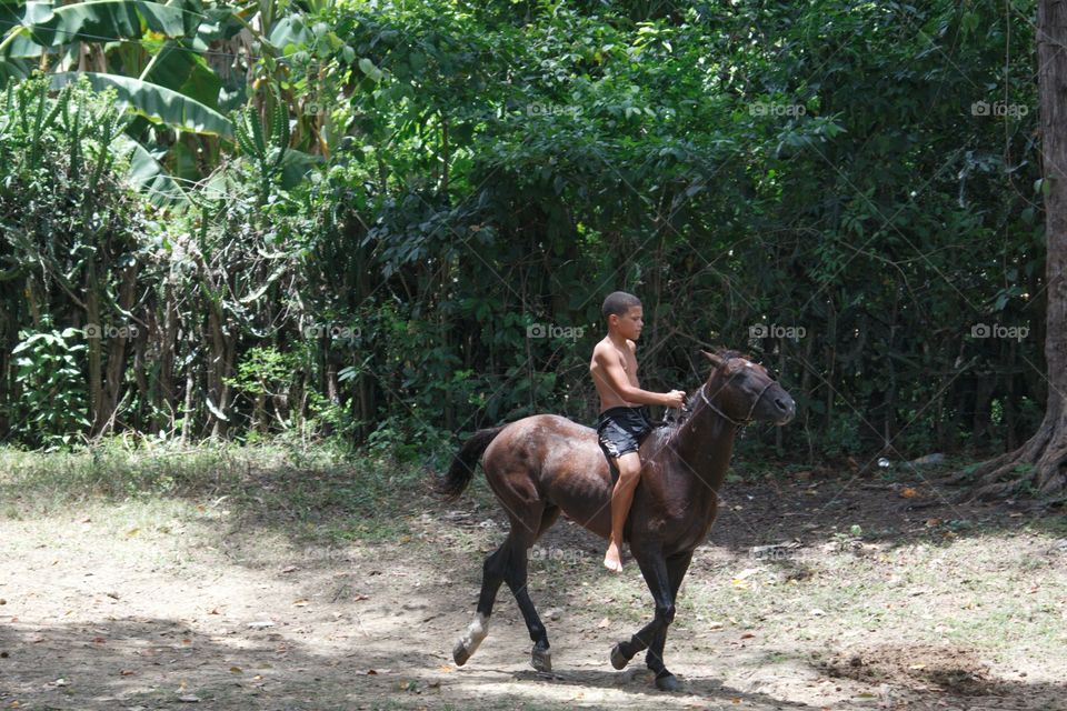Young Boy One Horse