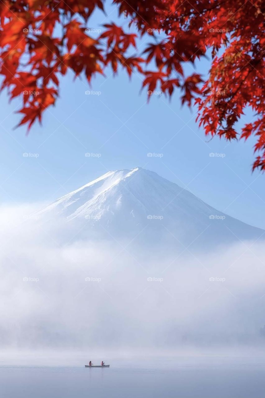 The beauty of colors