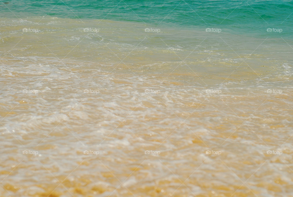 Water. Sea foam on the coast 