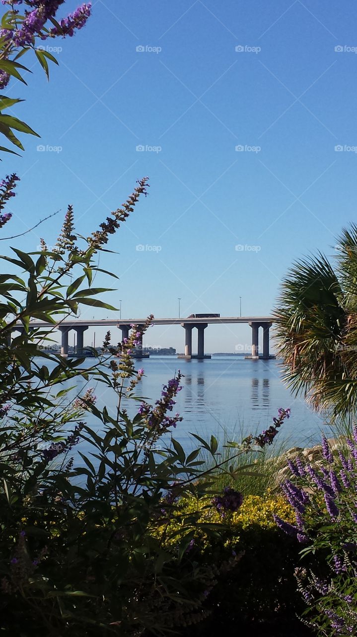 River Bridge