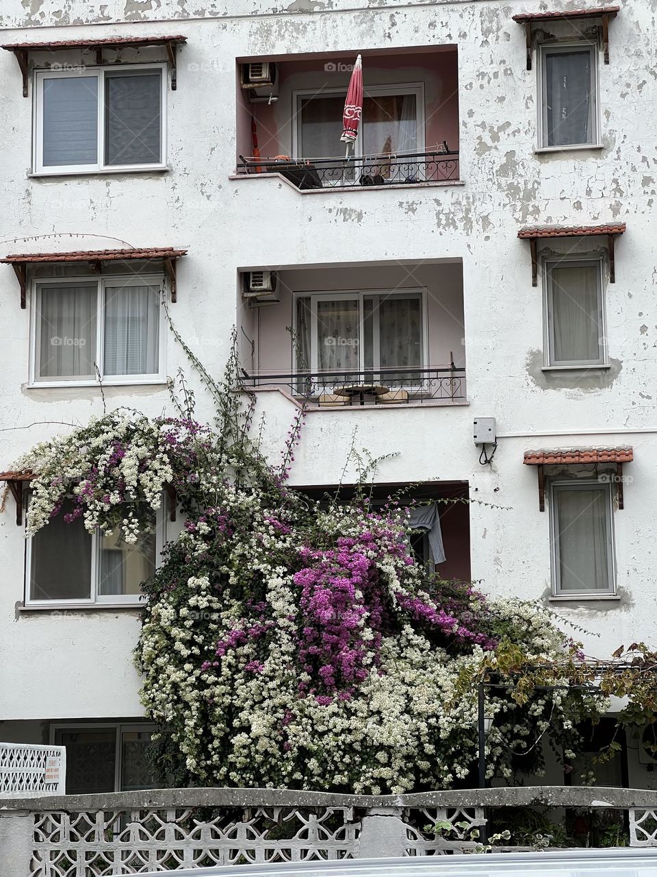 Block Turkish white building with a flower bloom