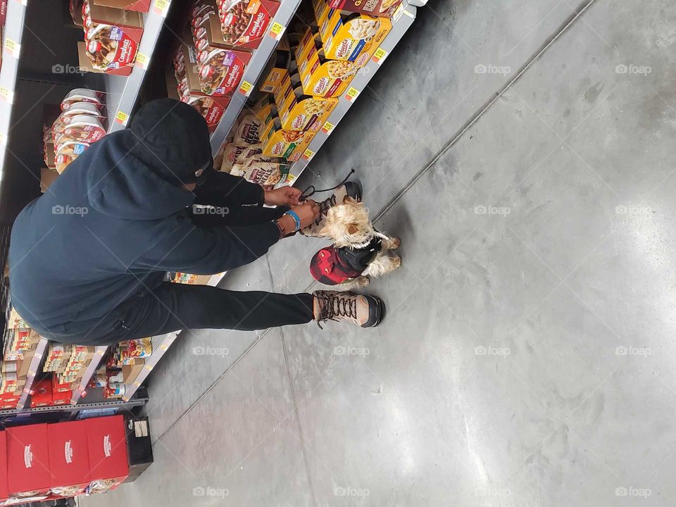 Puppies need groceries too