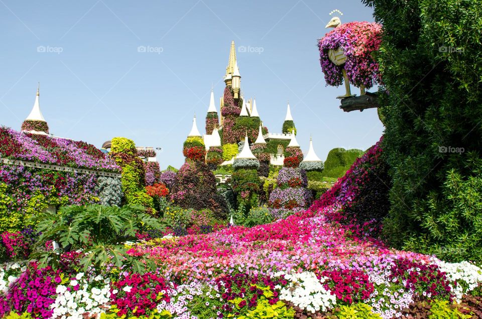 Urban Nature Plants, Dubai