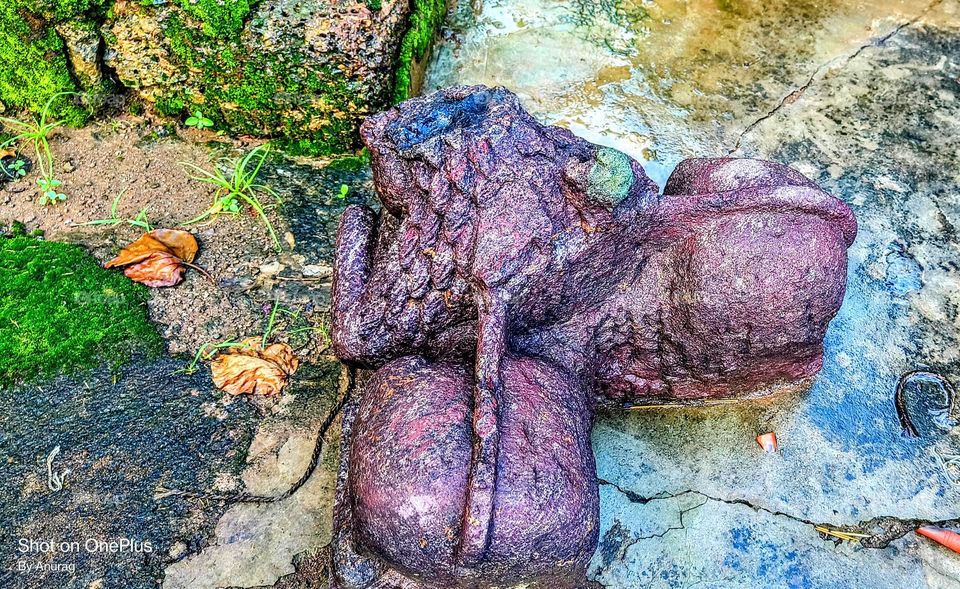 two lions curved in one stone