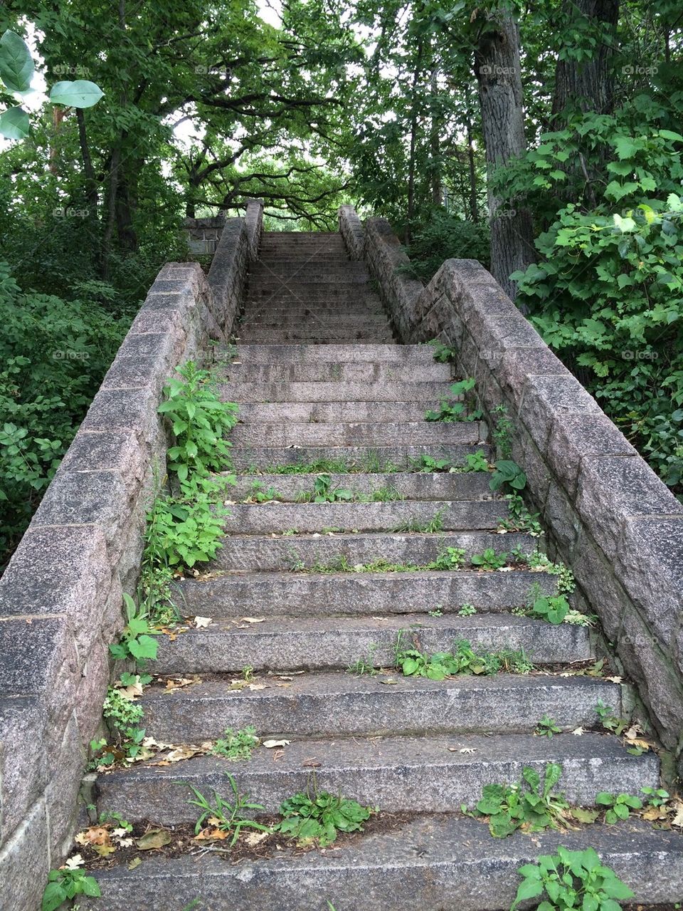 Cement stairway