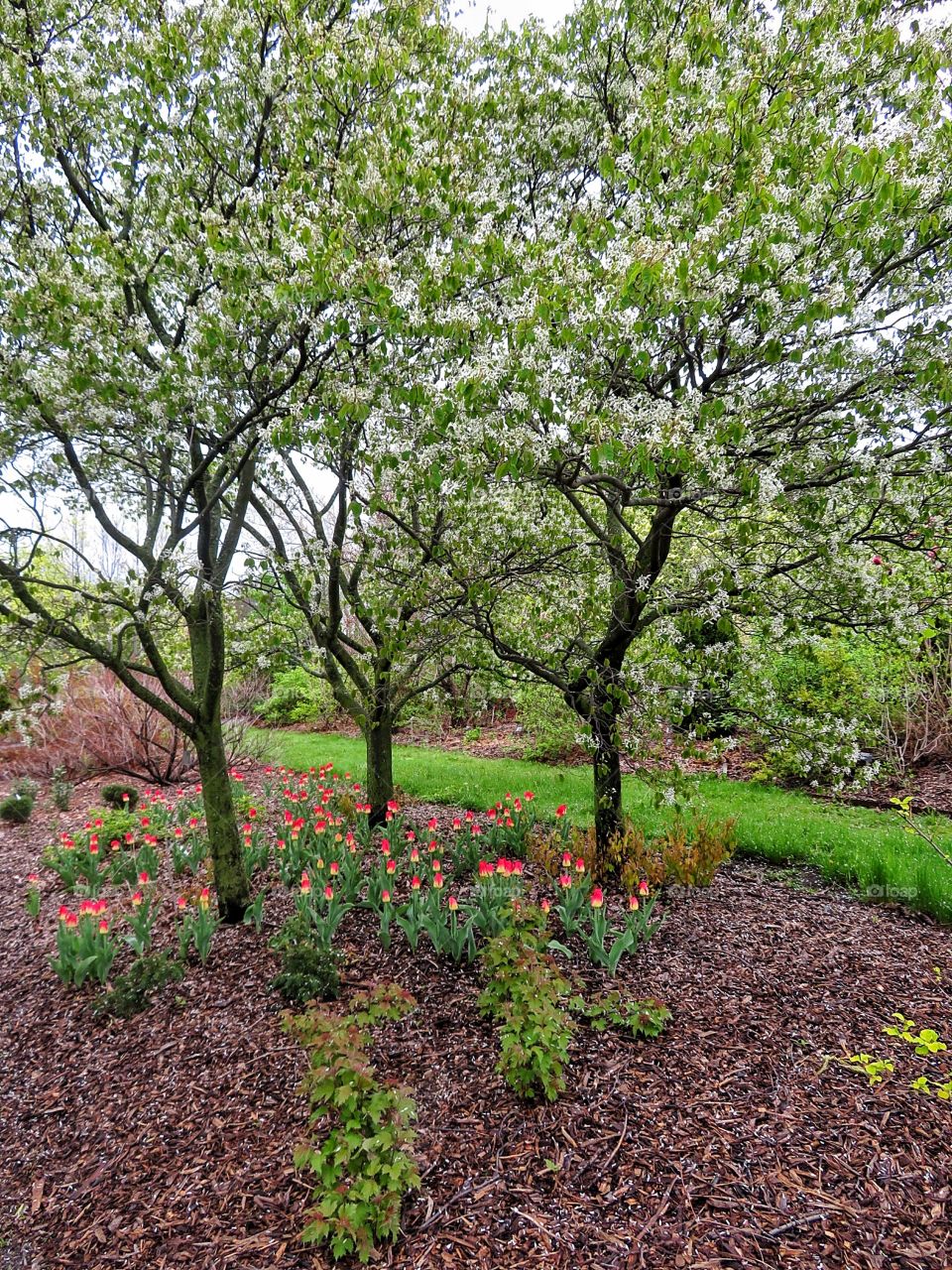 Montreal Botanical Gardens 