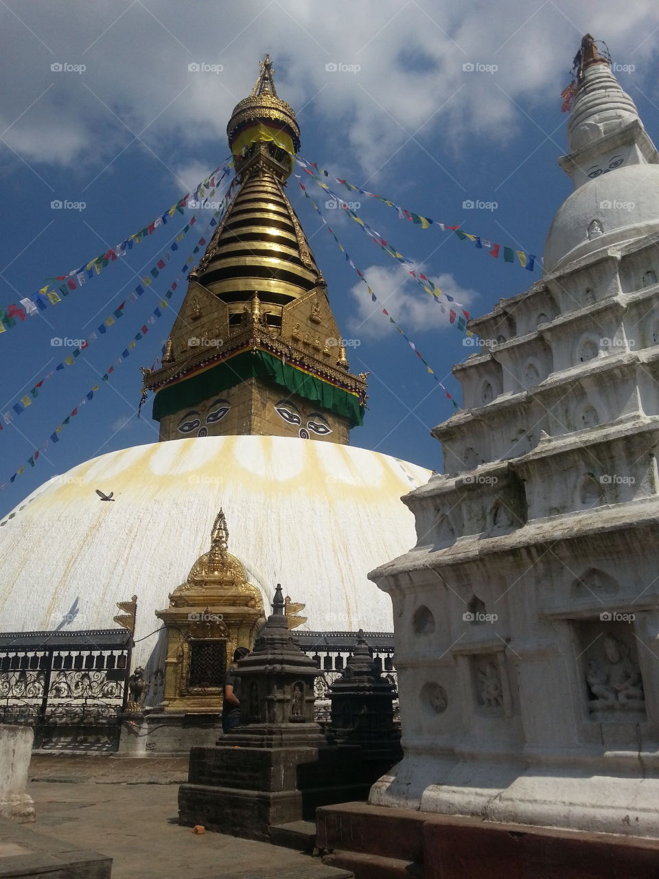 nepali eyes. Buddhist stupa