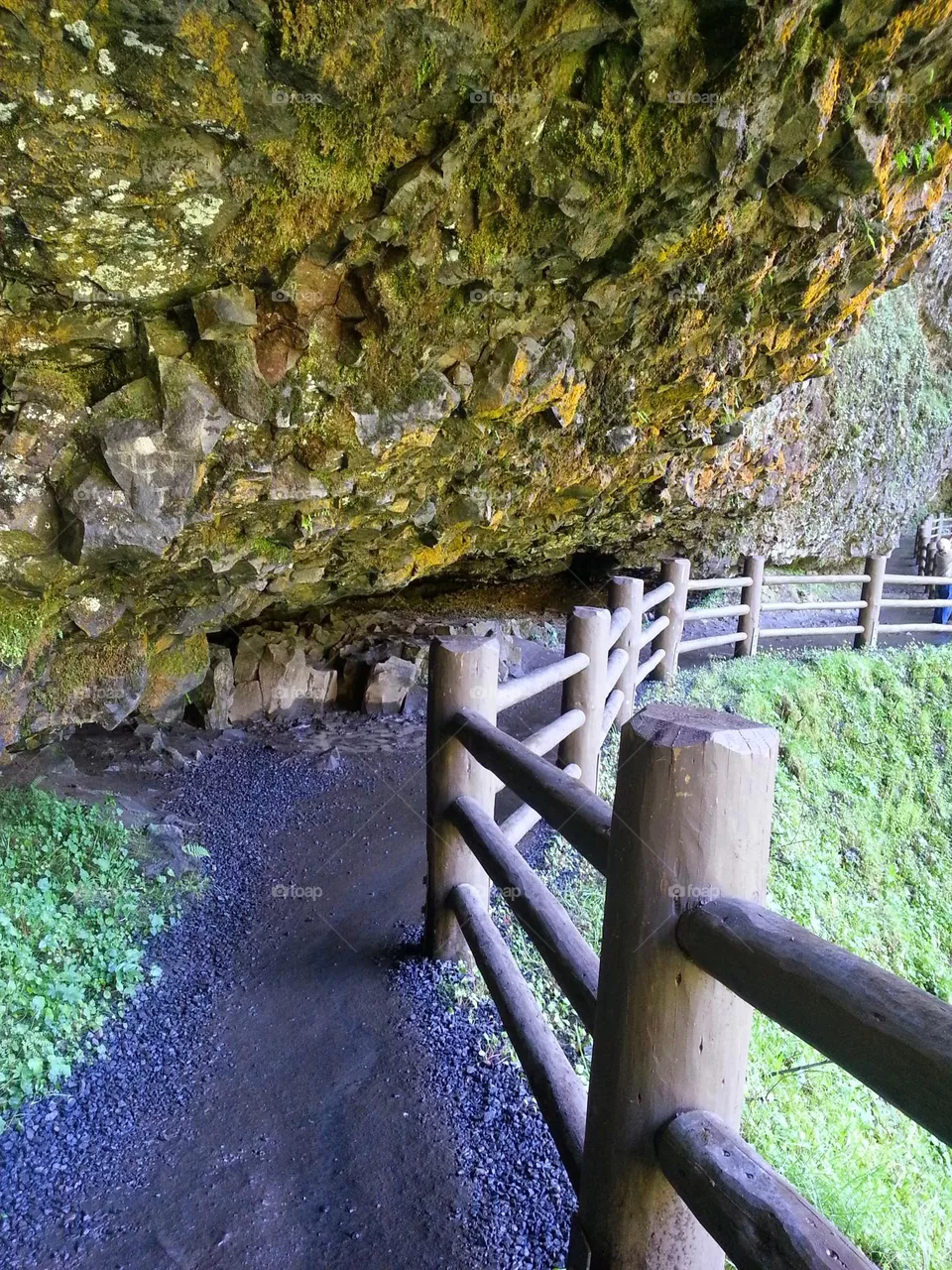 The pathway under Silver Falls, Oregon.