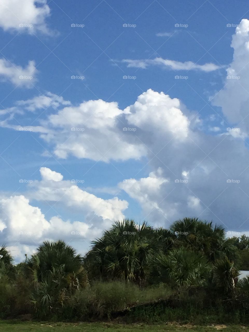 Clouds Over Florida. The beautiful sky in Davenport, FL, August 2015.