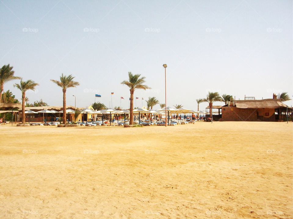 beach palm sand shop by arman