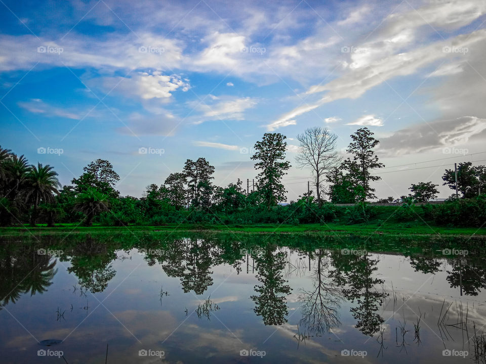 landscape beautiful photo