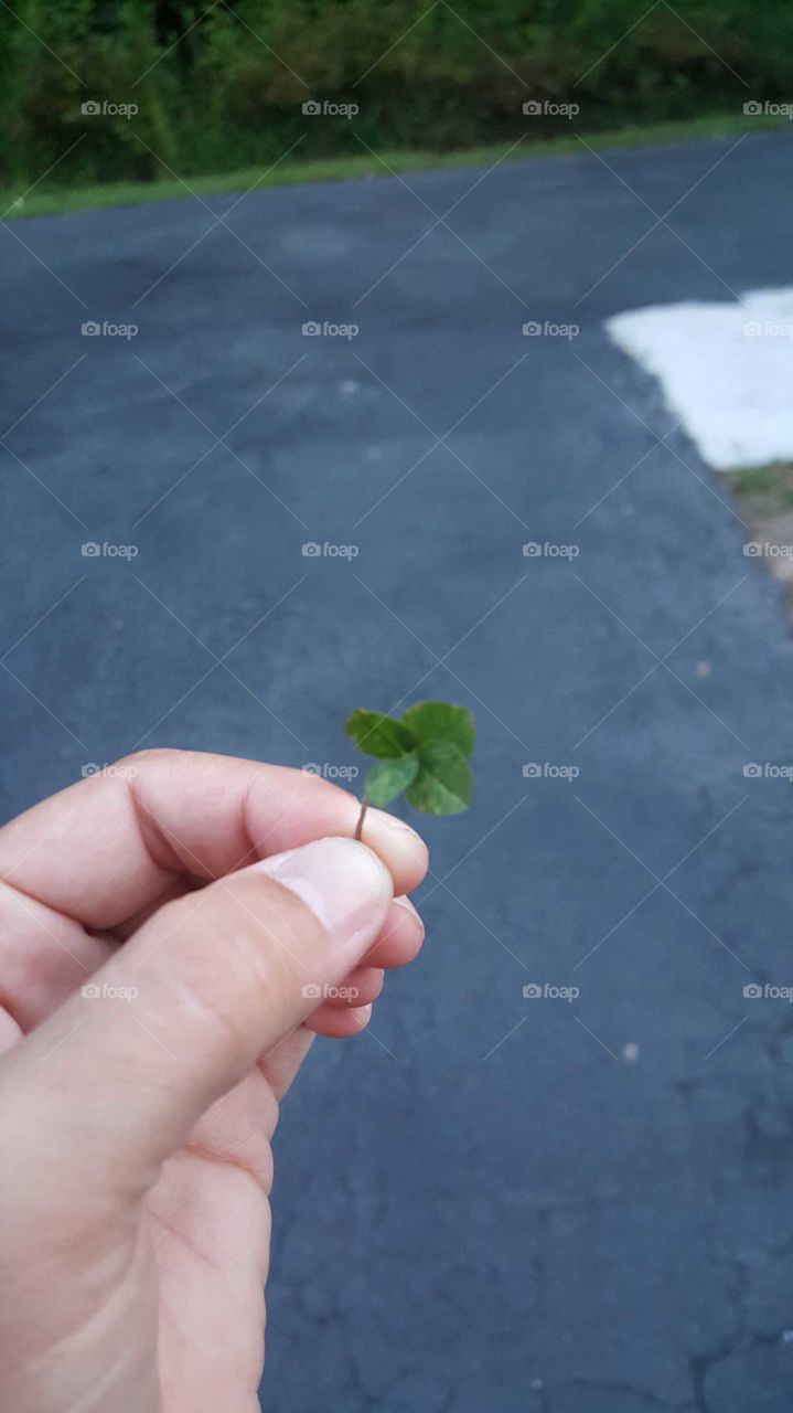 Only 4 leaf clover I've ever found🍀
