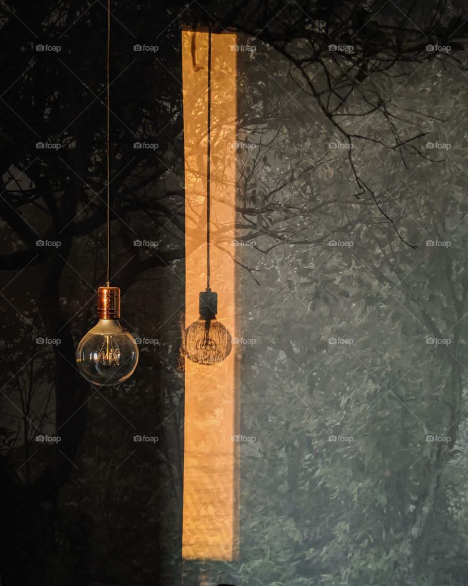 The bulb, sunshine, modern interior