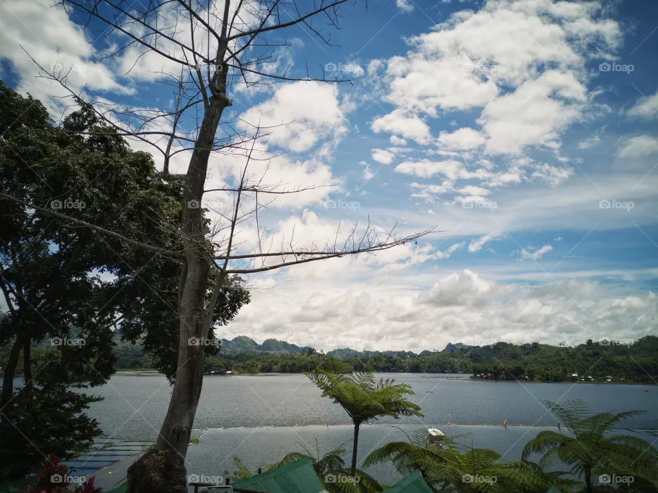 Lake view