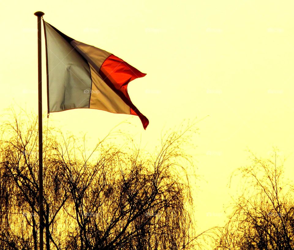 French flag on golden sunset