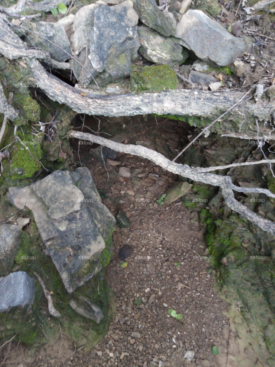 the nature of the field