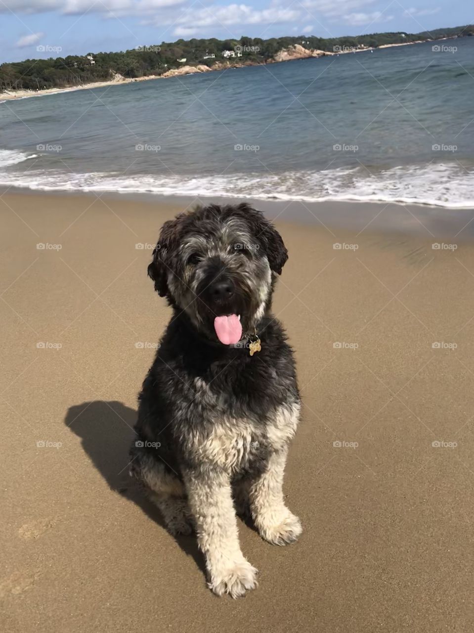 Beach model 