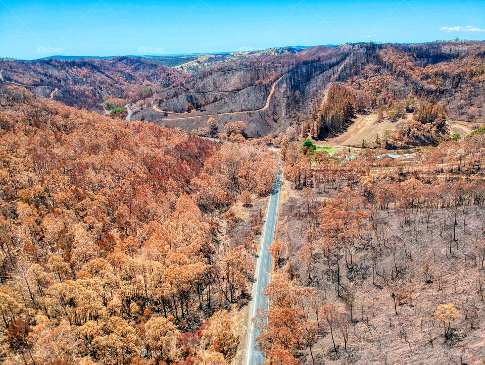 Cudlee Creek bushfires