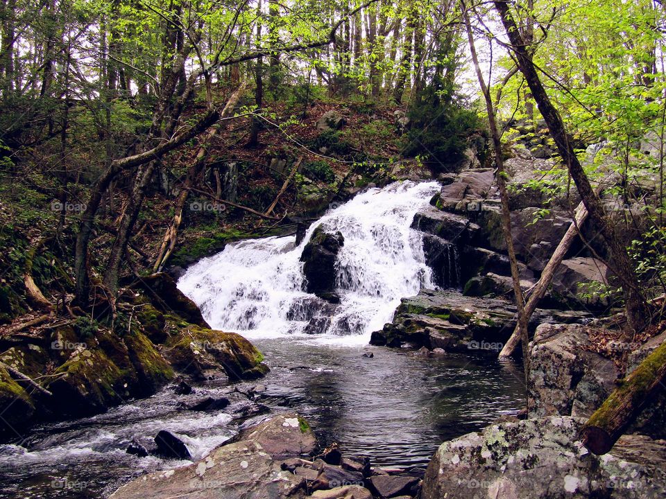 This photo shows one of Massachusetts’ many enchanting cascades, surrounded by summer greenery. 