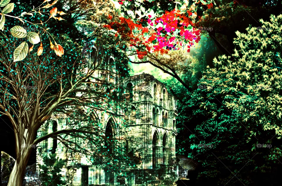 abandoned place in forest photography