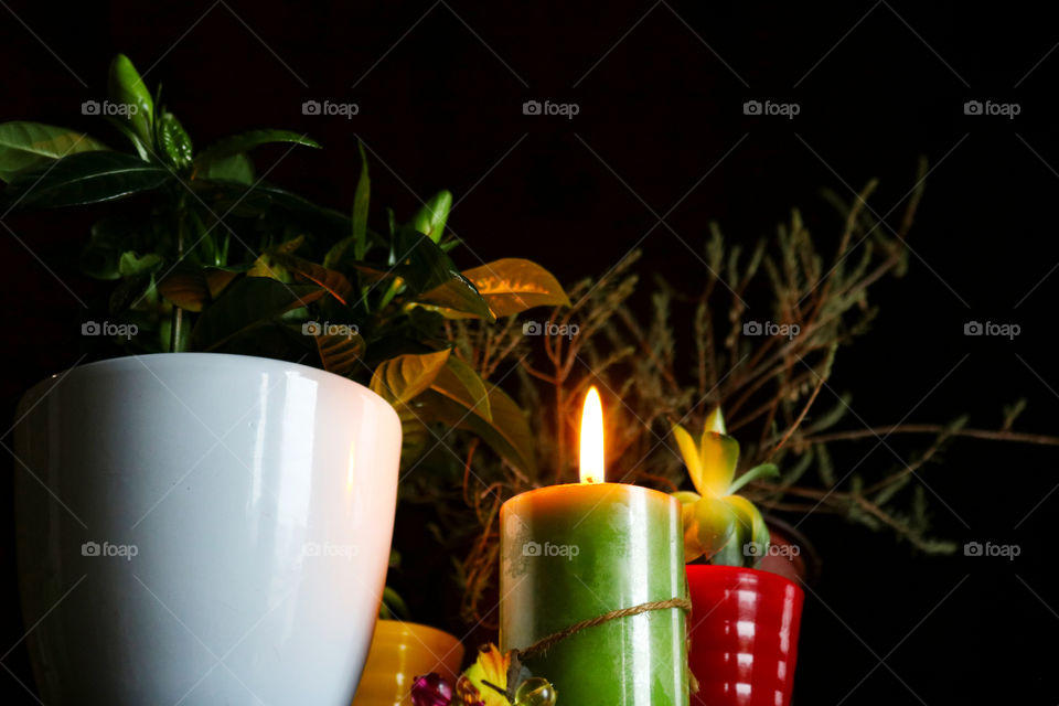 Green plants and candle