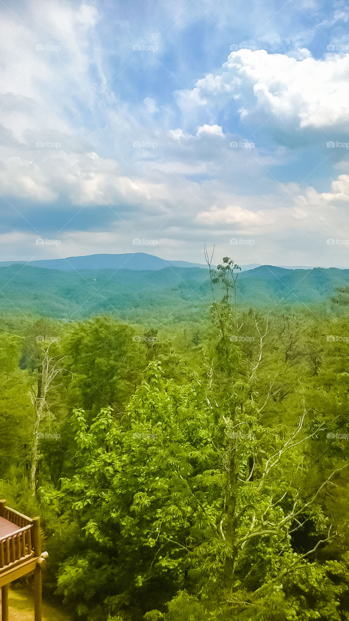 Great Smokey Mountains. Tennessee, USA