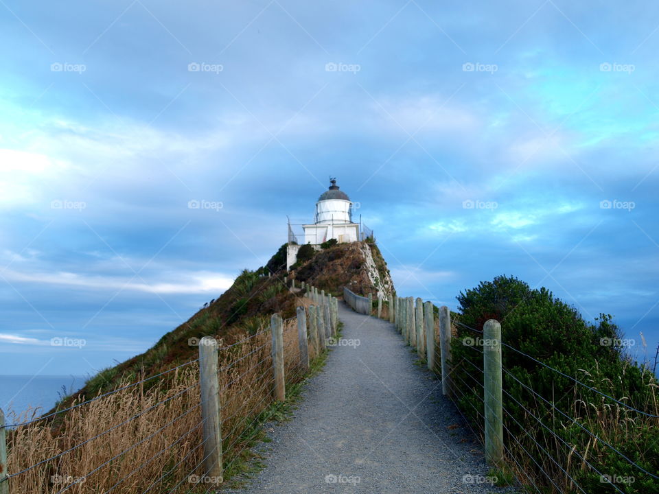 blue lights during the sunset over the lighthouse, new Zealand