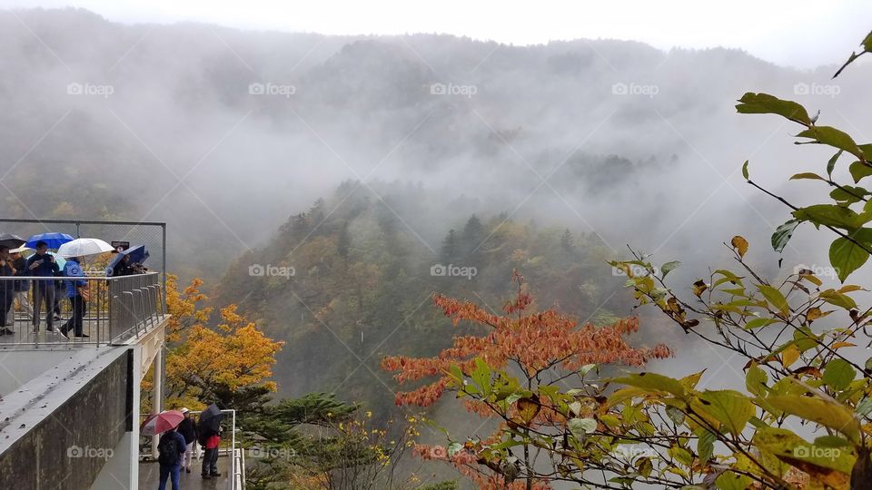 Lookout platform in a foggy day