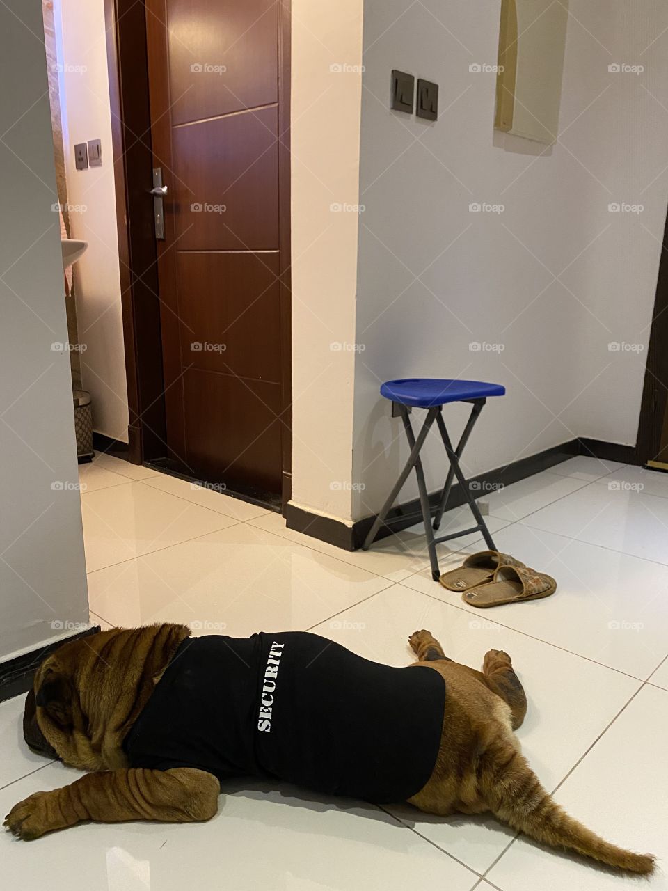 Sleeping security 