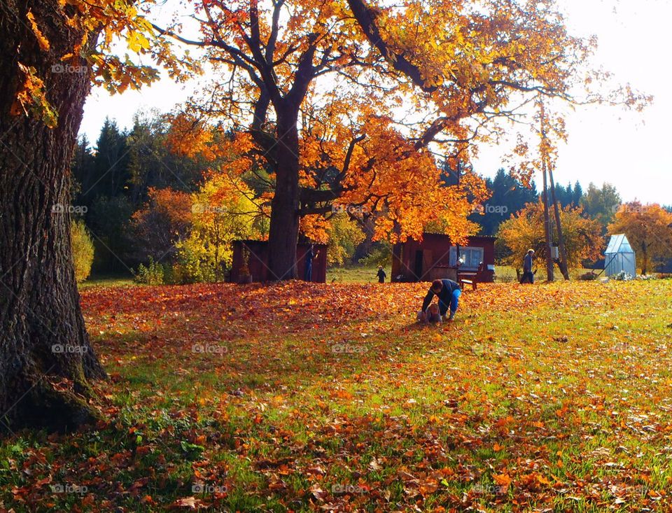 Moment of everyday special