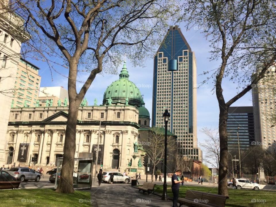 Amazing Montreal