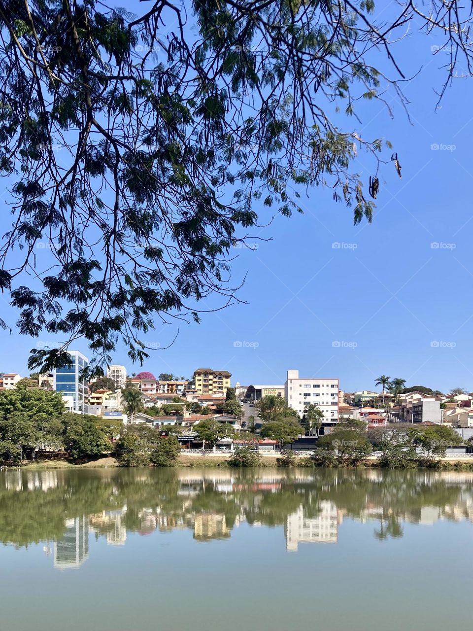 Meio dia em Bragança Paulista. Que dia bonito!

Esquentou e a natureza resolveu mostrar seus encantos. Olhe aí o Lago do Taboão e seu espelho d’água: