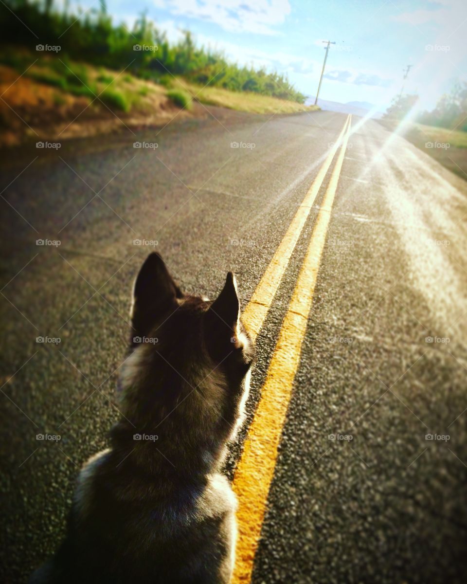 Adventure awaits on the road ahead...