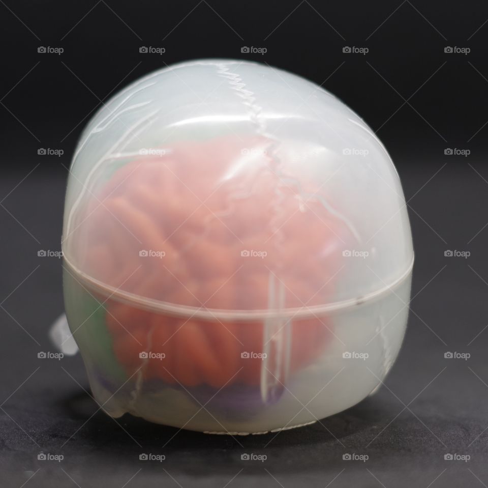 Build your own brain, a plastic model of the human skull and brain.