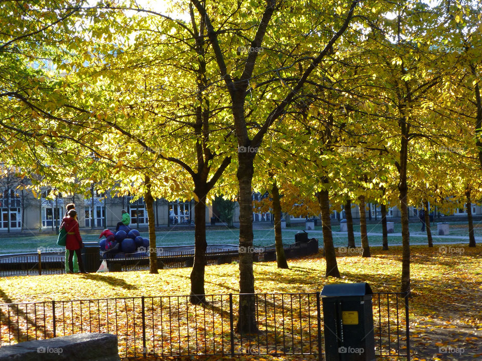 stockholm fall södermalm höst by ubb66