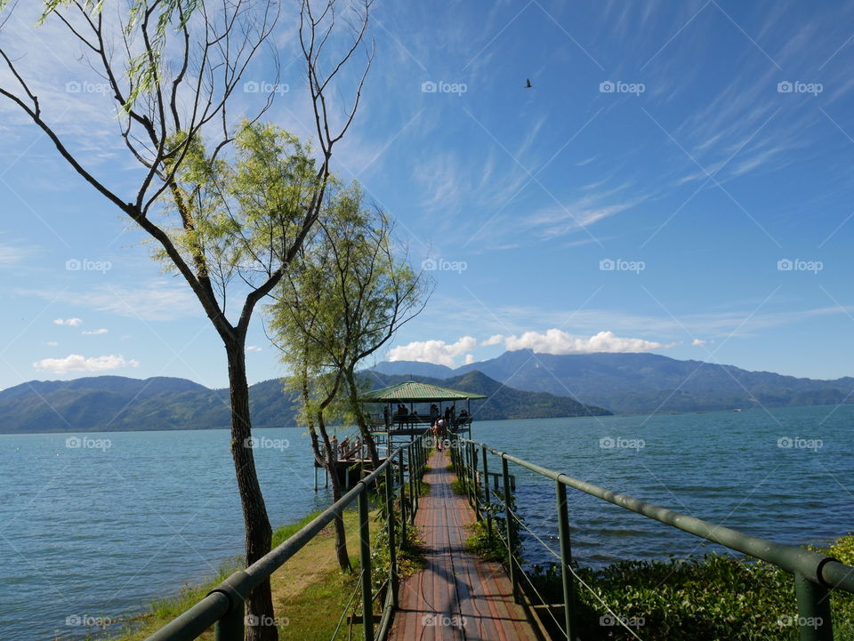 The bridge, Yojoa's lake