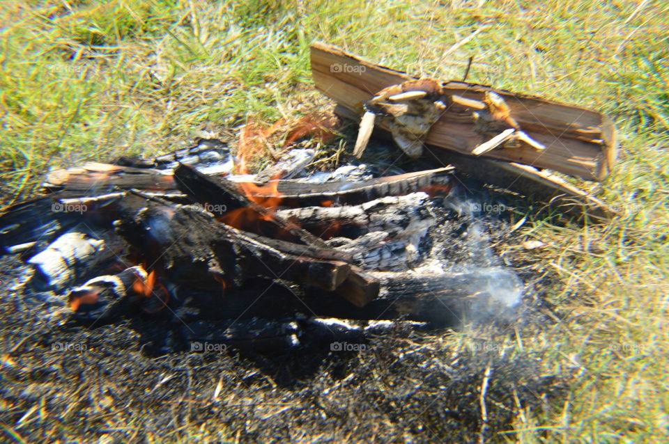 fried fish on the board