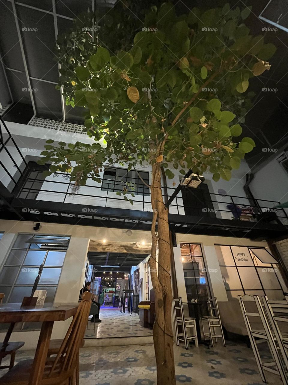 A tree house architecture