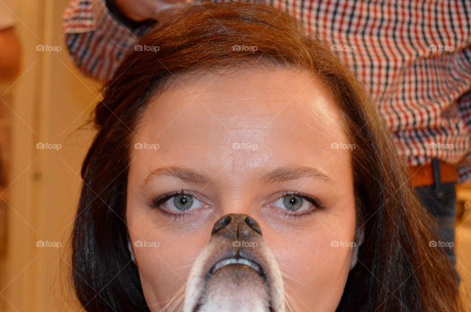Dog face