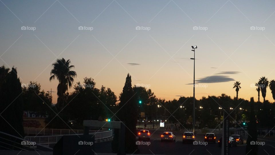 City#view#cars#nights#lights#palms