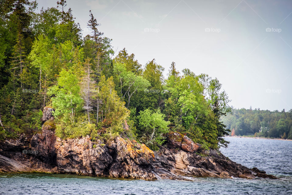 Forest on a rocky island