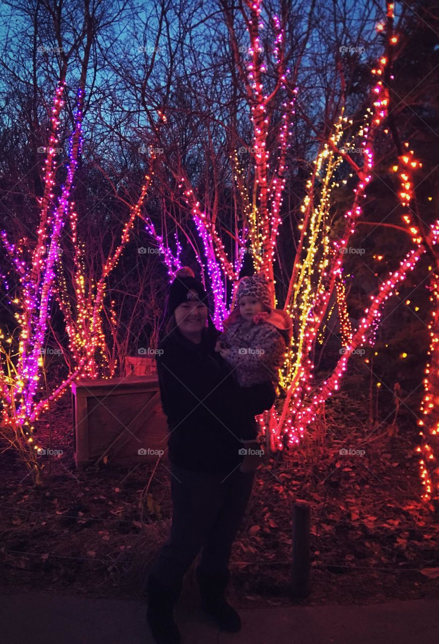 Christmas lights at the Zoo!
