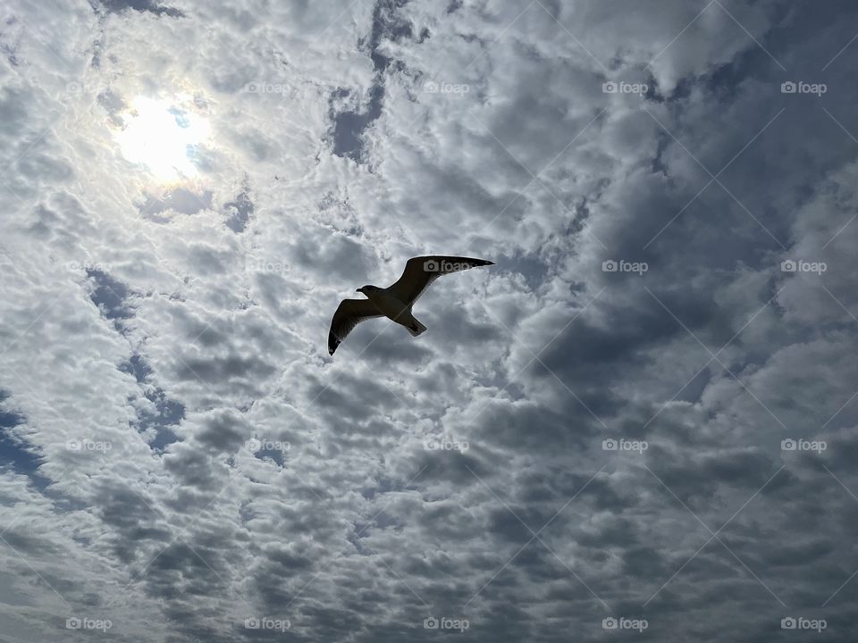 To touch the sky, you need to open your wings without fear and fly…