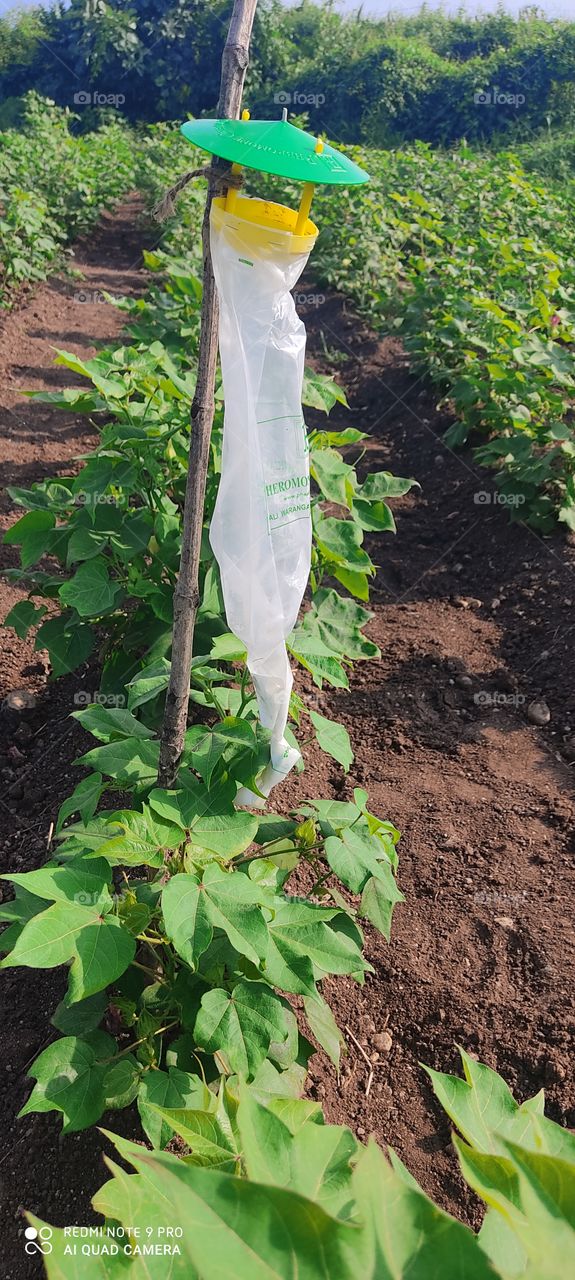 Equipment used for organic farming. Who controls the book