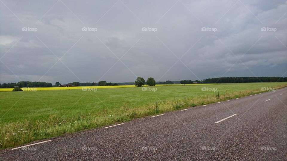 Rural road