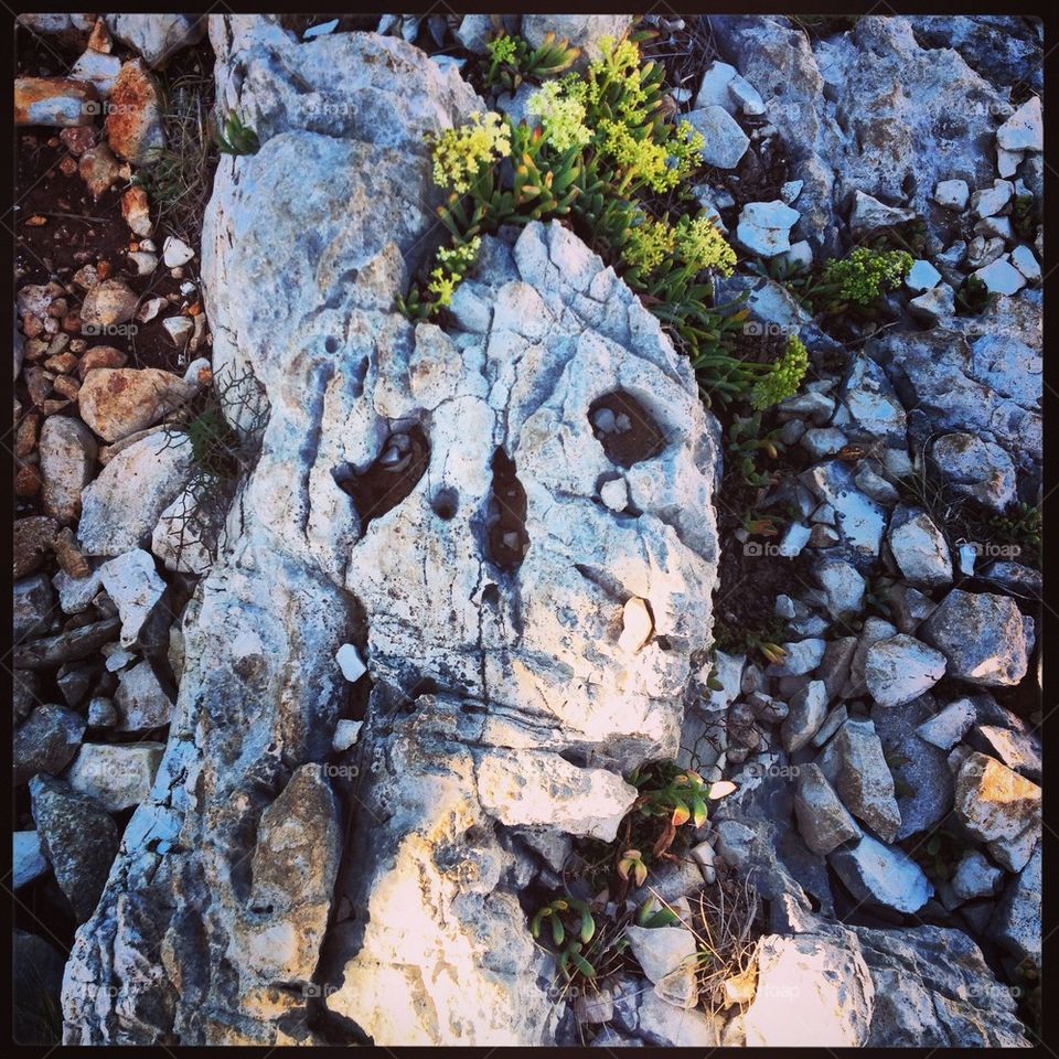 Face of stone